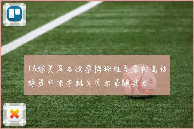 TA球员匿名投票揭晓谁是最被高估球员申京夺魁戈贝尔紧随其后