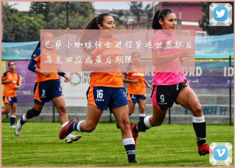巴萨小蜘蛛转会进程紧迫世界杯后马竞回应成最后期限