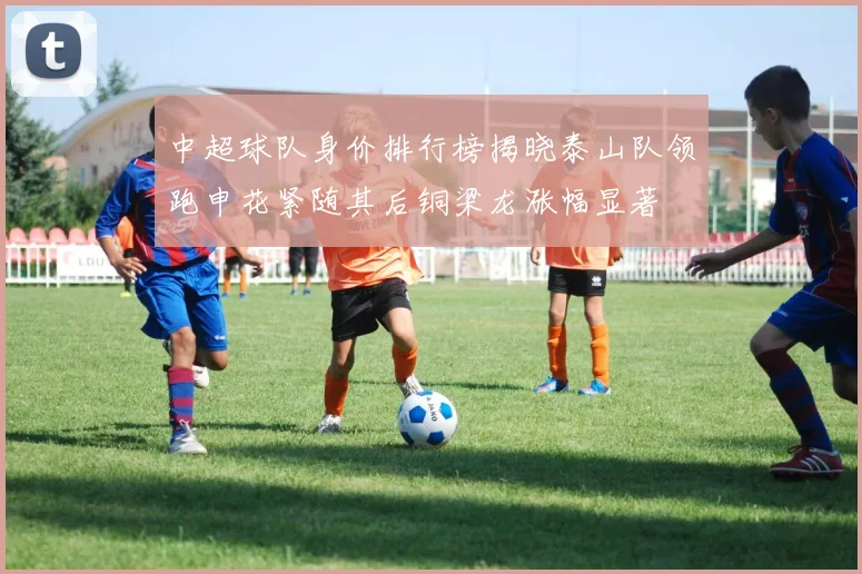 中超球队身价排行榜揭晓泰山队领跑申花紧随其后铜梁龙涨幅显著