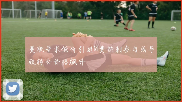 曼联寻求低价引进M费热刺参与或导致转会价格飙升